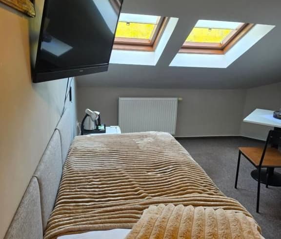 Jednolůžkový pokoj Economy  - Hotel Starý mlýn