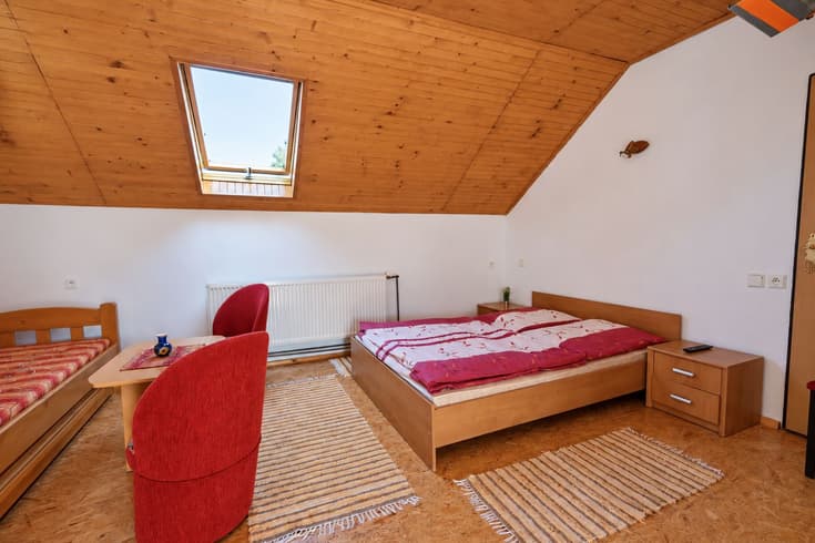 Double Room  - Accommodation Trávnický dvor