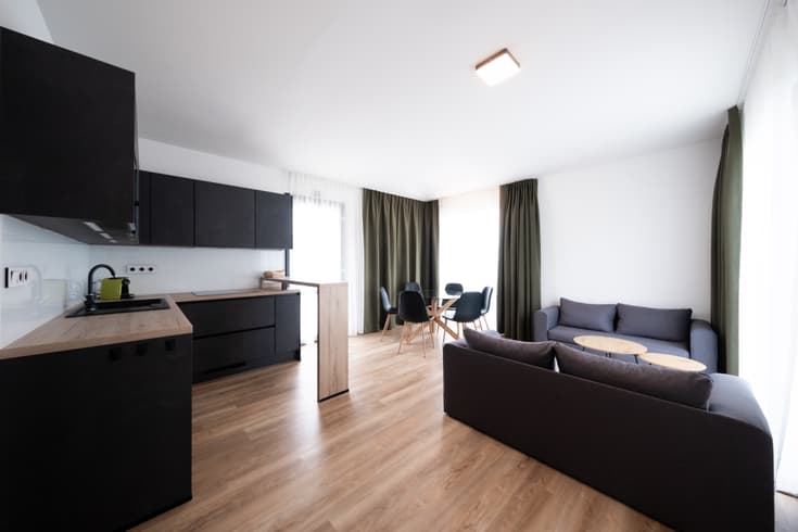 Appartement mit 2 Schlafzimmern  - Appartements Trojice