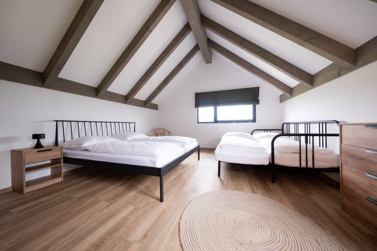 Appartement mit 2 Schlafzimmern  - Appartements Trojice
