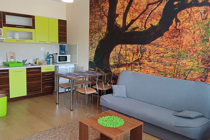 Apartament z 1 sypialnią  - Apartament Jarka Podhájska