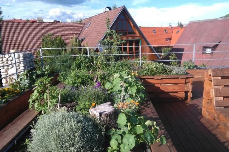 Apartmány Zuzana- Family House v létě