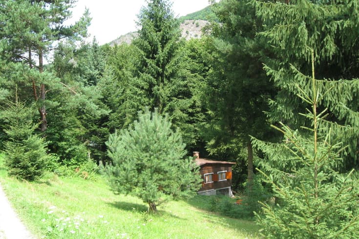 Chatka v rekreačnej oblasti pri lese v lete