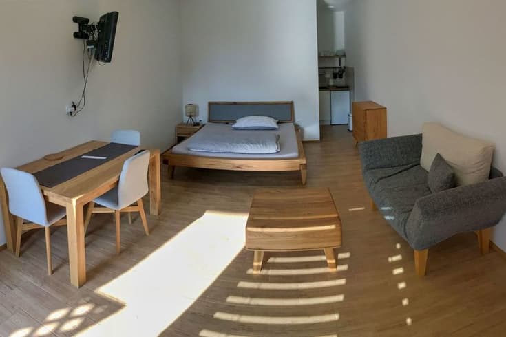 Apartament z 1 sypialnią  - Pensjonat Hájenka Hradiště