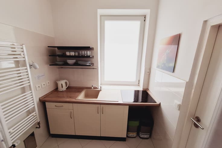 Apartament z 1 sypialnią  - Pensjonat Úslavská 22