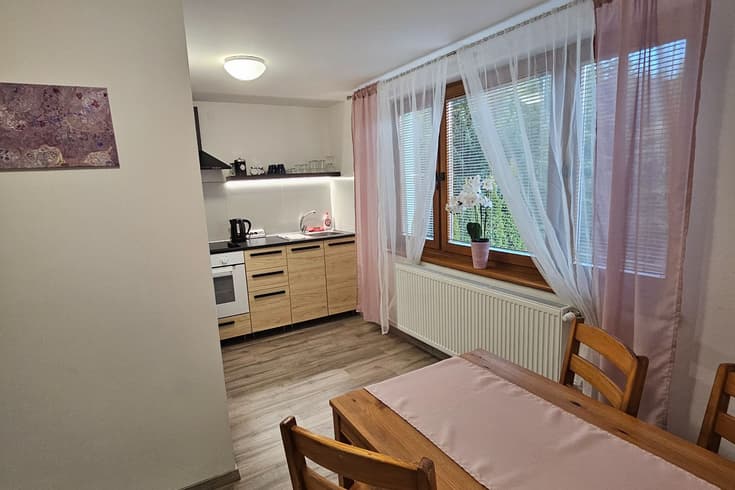Apartament z 1 sypialnią  - Apartamenty Habovka