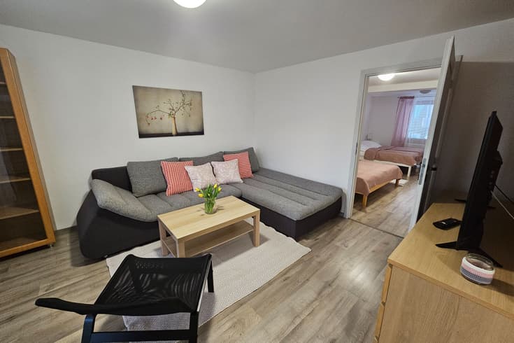 Apartament z 1 sypialnią  - Apartamenty Habovka