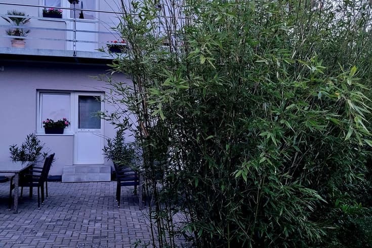 Apartmán 4 Dvoulůžkové studio - Vila Maruška