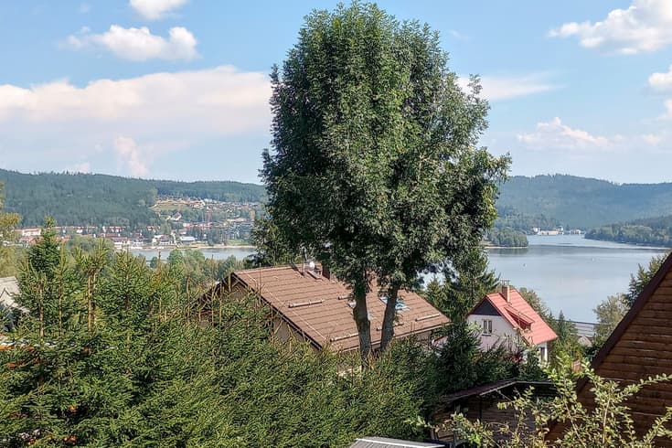 Výhled z apartmánu A1 a A2 - Apartmány u lesa