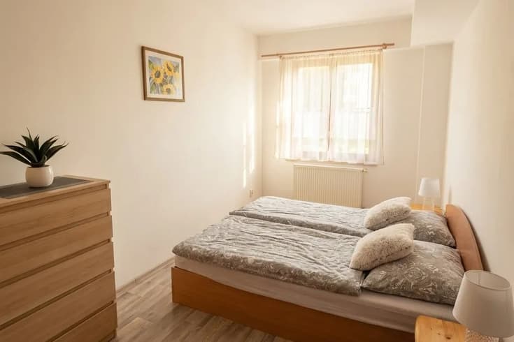 Appartement mit 1 Schlafzimmer  - Appartements Jáchymov