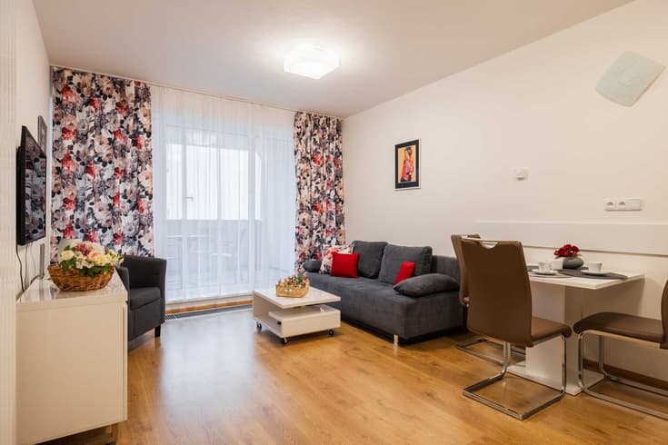 Apartment 1 bedroom  - Apartments Viva Třeboň