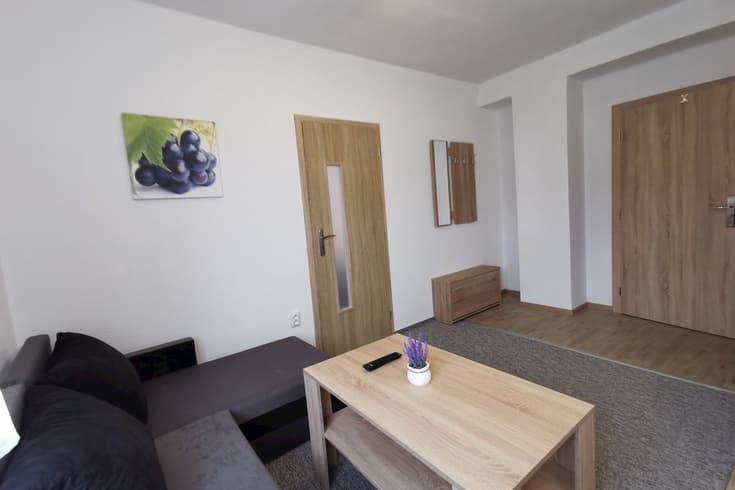 Apartament z 1 sypialnią  - Apartamenty Star