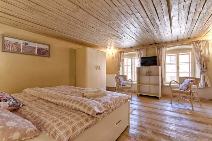 Apartman 1 hálószobával  - Měšťanský dům Mlýnská 119