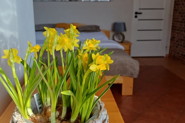 Appartement mit 1 Schlafzimmer  - Apartmánový Dom Košut