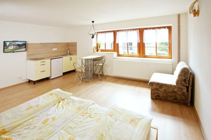 Apartament z 1 sypialnią  - Noclegi U jezera Laka