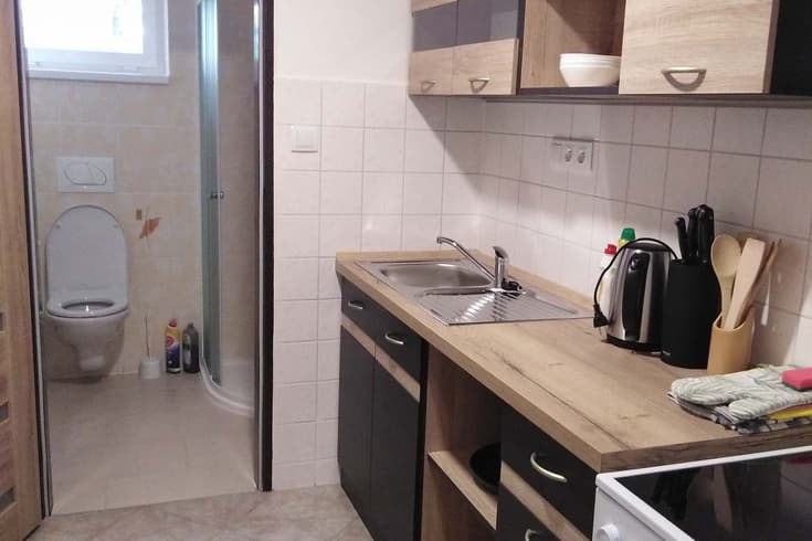 Apartament z 1 sypialnią  - Pensjonat Hracholusky - areál Rozárka