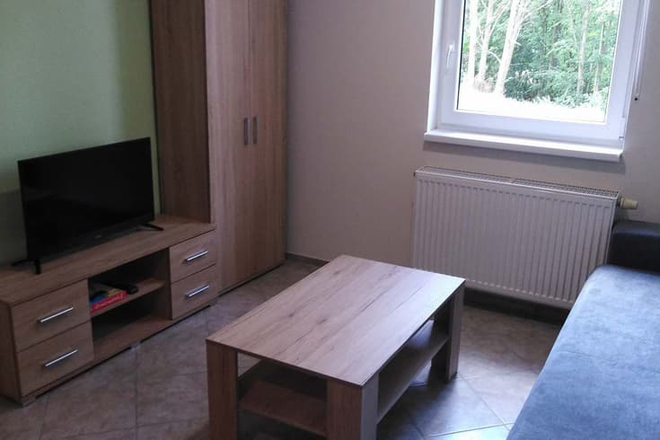 Apartament z 1 sypialnią  - Pensjonat Hracholusky - areál Rozárka