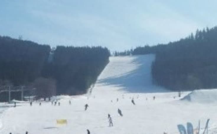 Ski Sněžník