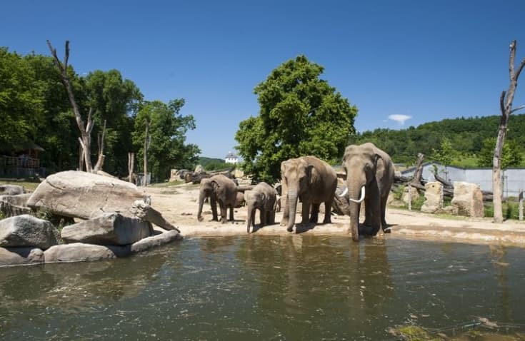 zoologick-a-botanick-zahrady-praha-slivenec