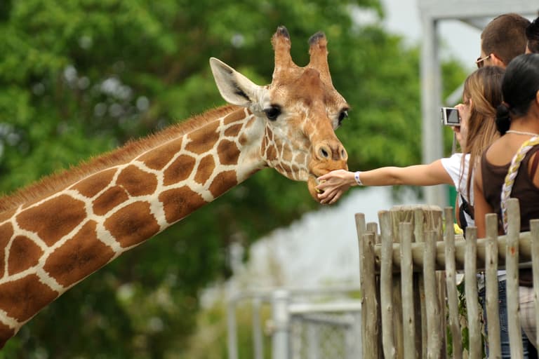 Zoologické a botanické záhrady na Slovensku
