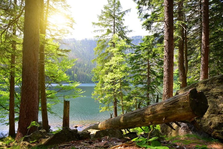 Ubytování Šumava