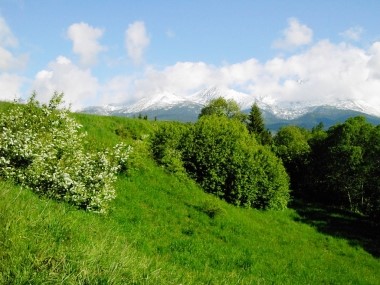 Stwoła 2