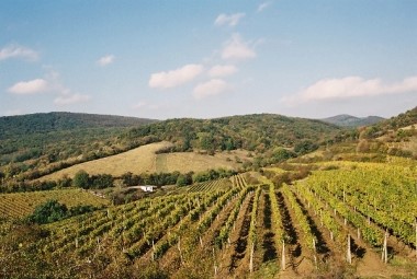 Pezinok 3