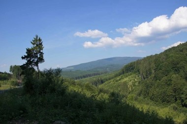 Polana 3