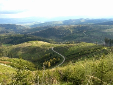 Levočská dolina 1