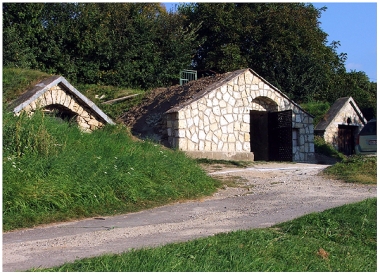 Viničky 2
