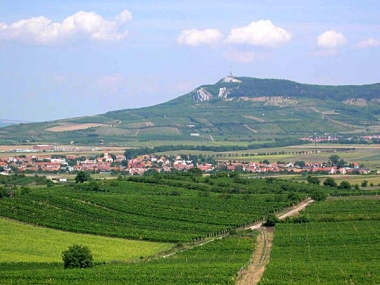 Dolní Dunajovice 1