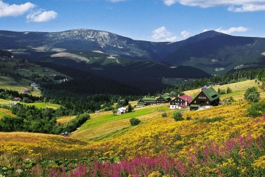 Podkrkonoší 1