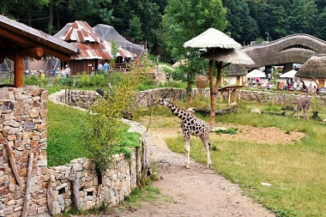 Pelhřimov 2