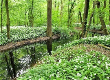 Rajčany 2