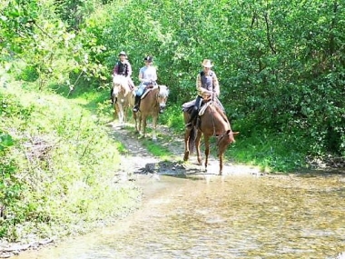 Rajčany 3