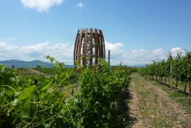 Tokaj 1