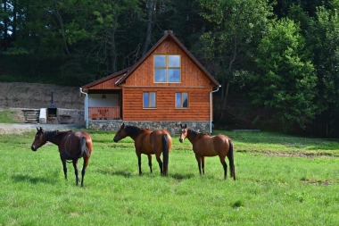 Chaty Šumava 2
