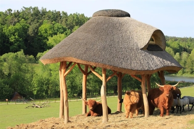 Louňovice pod Blaníkem 3