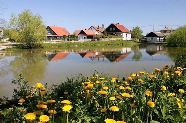 Bor u Skutče 1