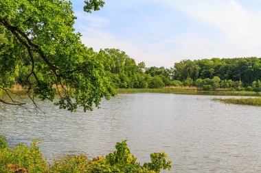 Kovač 3