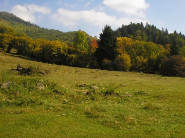 Detva 1