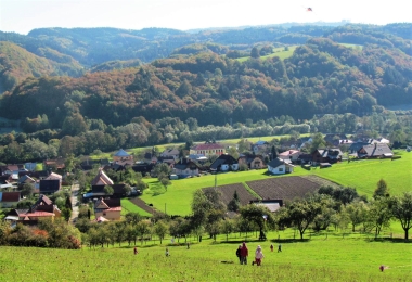 Leskovec 1