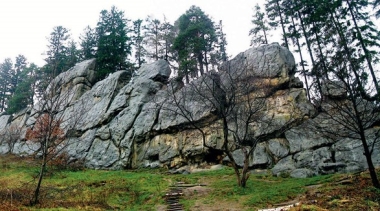 Leskovec 2