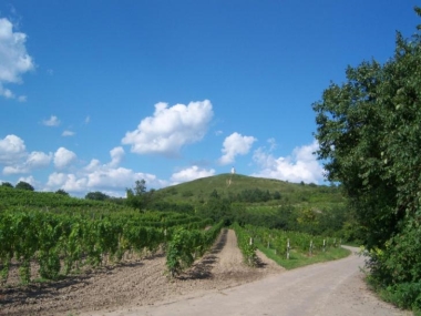 Veľké Bílovice 3