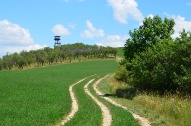 Hustopeče 3