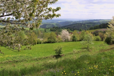 Písečné (okres Žďár nad Sázavou) 3