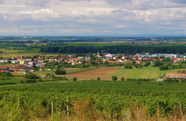 Novosedly (okres Břeclav) 1