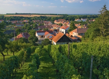 Hlohovec (okres Břeclav) 1