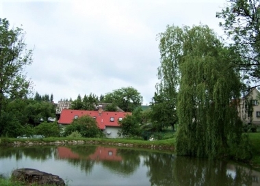 Michalovice (okres Havlíčkův Brod) 1