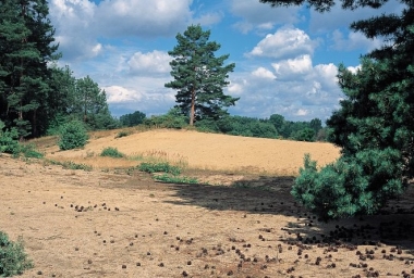 Zlukov 2